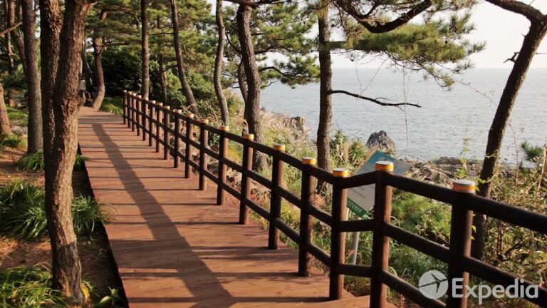 Olle Walking Paths, Jeju Island Vacation Travel Guide | Expedia